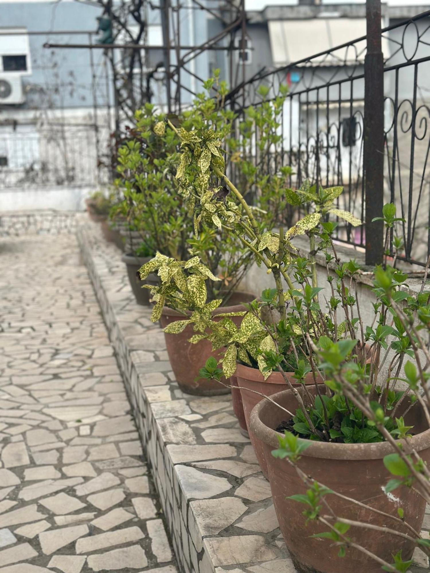 Villa Braho Αργυρόκαστρο Εξωτερικό φωτογραφία