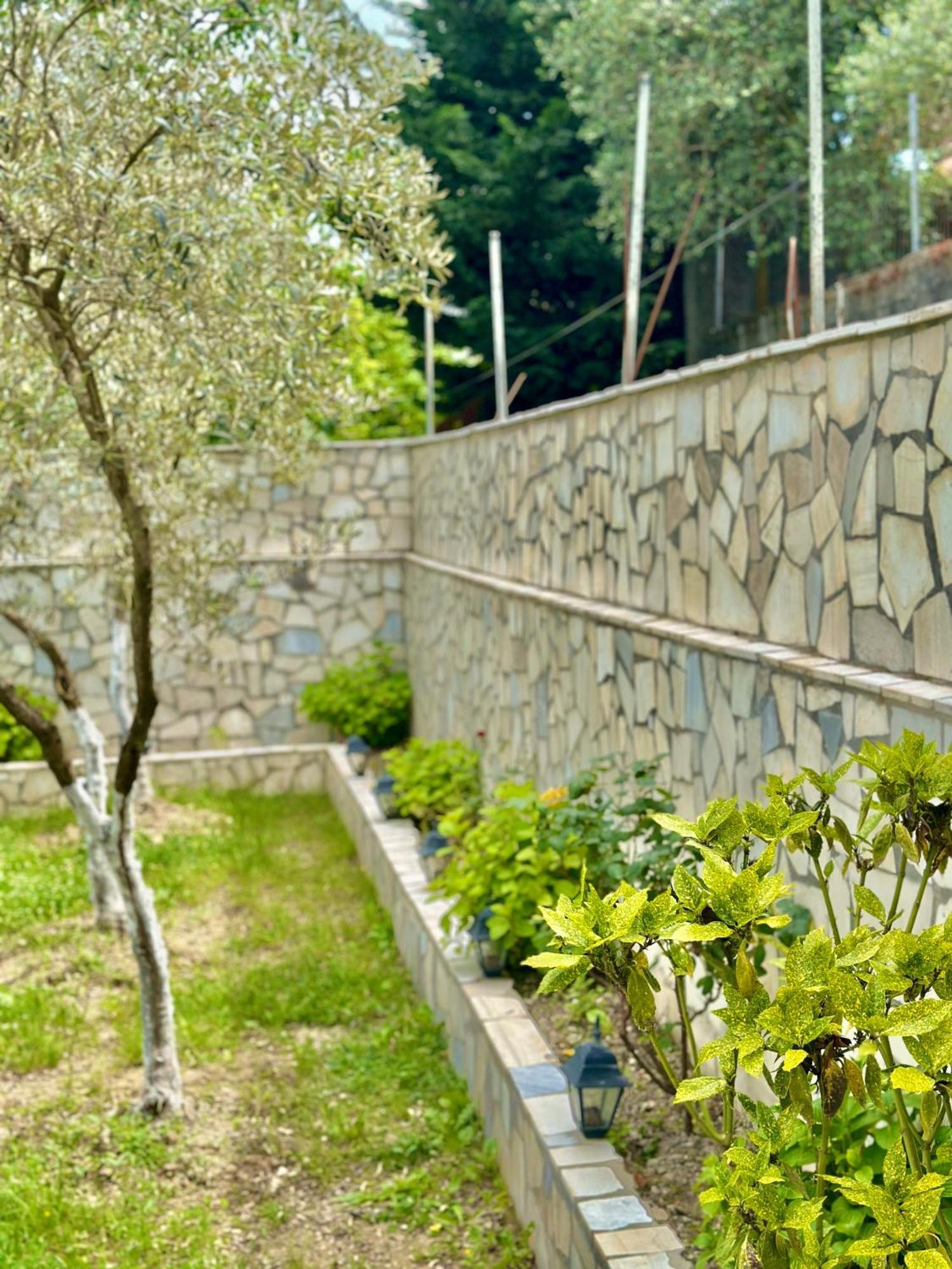 Villa Braho Αργυρόκαστρο Εξωτερικό φωτογραφία